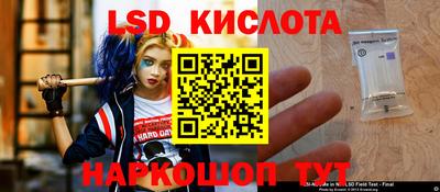 крисы Будённовск