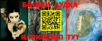 крисы Будённовск