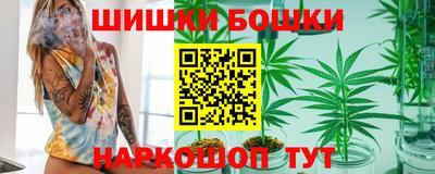крисы Будённовск