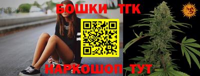 крисы Будённовск